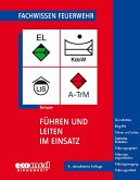 Führen und Leiten im Einsatz Führen und Leiten im Einsatz