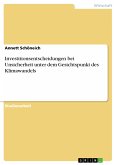 Investitionsentscheidungen bei Unsicherheit unter dem Gesichtspunkt des Klimawandels (eBook, PDF)