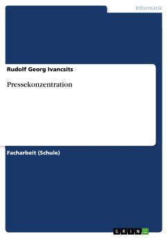 Pressekonzentration (eBook, PDF)