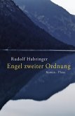 Engel zweiter Ordnung (eBook, ePUB)
