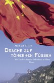 Drache auf tönernen Füßen (eBook, ePUB)