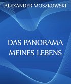 Das Panorama meines Lebens (eBook, ePUB)