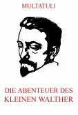 Die Abenteuer des kleinen Walther (eBook, ePUB)