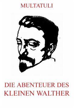 Die Abenteuer des kleinen Walther (eBook, ePUB) - Multatuli