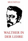 Walther in der Lehre (eBook, ePUB)