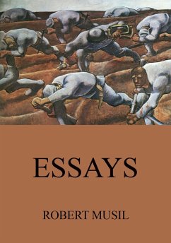 Cover Essays (eBook, ePUB)