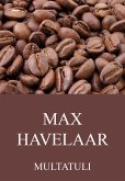 Max Havelaar (eBook, ePUB)