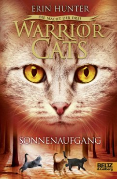 Sonnenaufgang / Warrior Cats Staffel 3 Bd.6 - Hunter, Erin