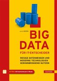 Big Data für IT-Entscheider (eBook, PDF)