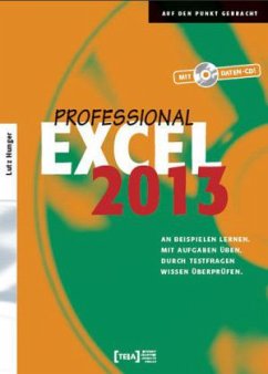 Excel 2013 Professional, m. CD-ROM - Hunger, Lutz