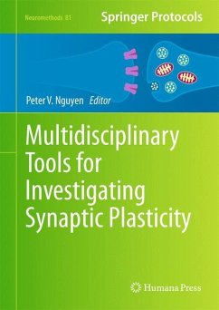 Multidisciplinary Tools for Investigating Synaptic Plasticity