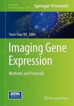 Imaging Gene Expression