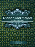 Knaben und Mörder (eBook, ePUB)
