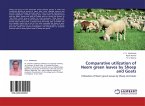 Comparative utilization of Neem green leaves by Sheep and Goats