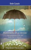 Humedades en el desván