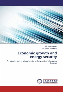Economic growth and energy security