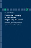 Ästhetische Erfahrung im Zeichen der Entgrenzung der Künste (eBook, PDF)