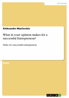 What in your opinion makes for a successful Entrepreneur? (eBook, PDF)