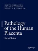 Pathology of the Human Placenta (eBook, PDF)