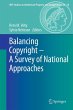 Balancing Copyright - A Survey of... - Bild 1