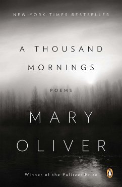 A Thousand Mornings - Oliver, Mary