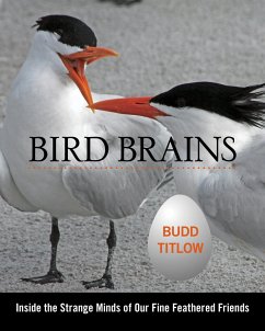 Bird Brains - Titlow, Budd