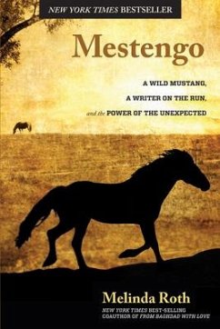 Mestengo: A Wild Mustang, a Writer on the Run, and the Power of the Unexpected - Roth, Melinda