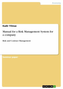 Manual for a Risk Management System for a company (eBook, PDF)