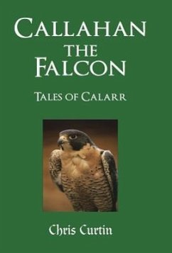 Callahan the Falcon - Curtin, Chris