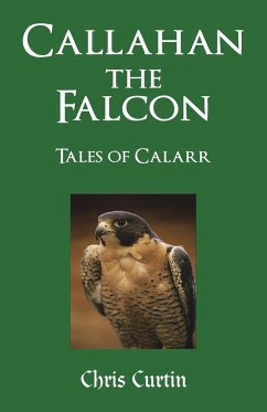 Callahan the Falcon - Curtin, Chris