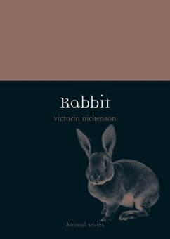 Rabbit - Dickenson, Victoria