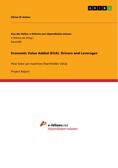 Economic Value Added (EVA). Drivers and Leverages (eBook, PDF)