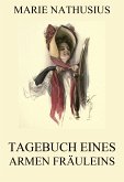 Tagebuch eines armen Fräuleins (eBook, ePUB)