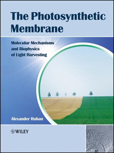 The Photosynthetic Membrane (eBook, ePUB) The Photosynthetic Membrane (eBook, ePUB)