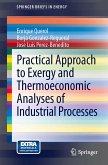 Practical Approach to Exergy and Thermoeconomic Analyses of Industrial Processes (eBook, PDF)
