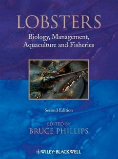 Lobsters (eBook, ePUB) - Phillips, Bruce