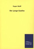 Der junge Goethe