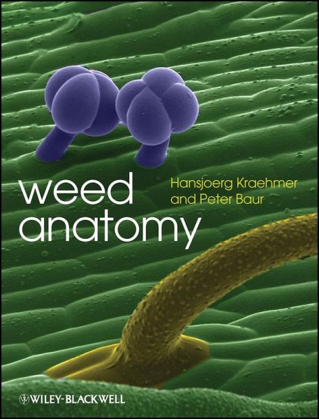 Weed Anatomy (eBook, ePUB)