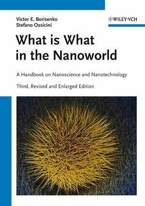 What is What in the Nanoworld (eBook, ePUB) What is What in the Nanoworld (eBook, ePUB)