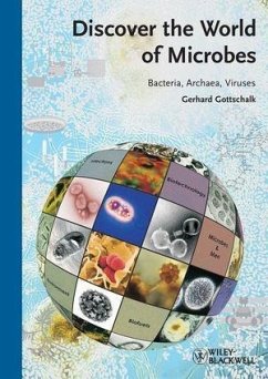Discover the World of Microbes (eBook, ePUB) - Gottschalk, Gerhard
