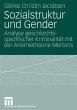 Sozialstruktur und Gender (eBook, PDF) - Bild 1