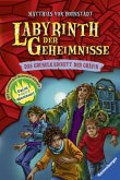 Das Gruselkabinett der Gräfin / Labyrinth der Geheimnisse Bd.2 Das Gruselkabinett der Gräfin / Labyrinth der Geheimnisse Bd.2