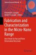 Fabrication and Characterization in the... - Bild 1