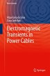 Electromagnetic Transients in Power... - Bild 1