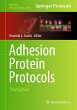 Adhesion Protein Protocols - Bild 1