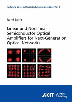 Linear and Nonlinear Semiconductor Optical Amplifiers for Next-Generation Optical Networks - Bonk, René