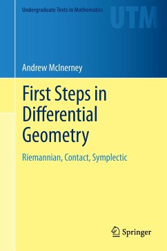 First Steps in Differential Geometry - McInerney, Andrew