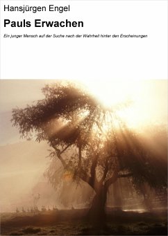 Pauls Erwachen (eBook, ePUB) - Engel, Hansjürgen