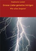 Grosse Liebe, gemeine Intrigen (eBook, ePUB)