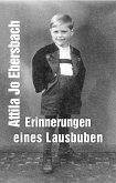 Erinnerungen eines Lausbuben (eBook, ePUB)